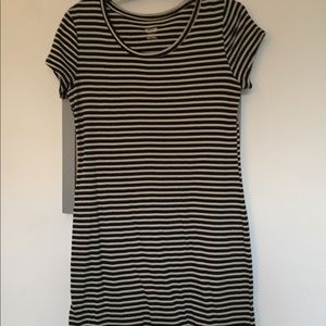 Black and Beige Knee Length Stretch Knit Dress